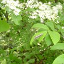 진벌1리 이미지