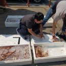 동해-단속-05 이미지