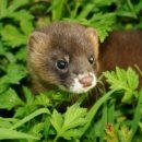 들가운데농장 이미지