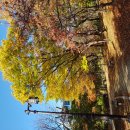 쌍산의사 공중화장실 | 한강버스 재운행 탑승 후기 251101