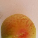 상아농장 이미지