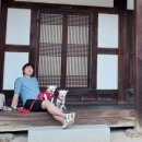 멈머다냥 이미지