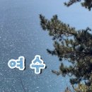 세븐일레븐 여수충무점 | [여수여행] 먹고 먹고 또 먹고 여수랑타고 오동도 갔다 또먹고 (2.26-2.27)