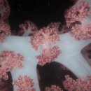 남해-309 이미지