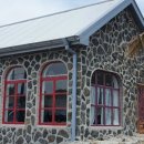 코코트리 이미지