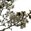 솔기아파트 이미지