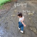 옥화리 | 27개월아기랑 옥화9경 천경대산책 천경대키즈풀빌라 방문솔직후기