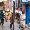 성화이용원 | 인도 방문 4편 바라나시 갠지스강 2편