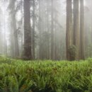 행복에코플러스 이미지