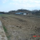 해평 금호리 이미지