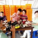 선화천년초