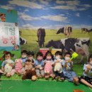 승윤농장 Daum카페