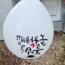 씨케이덴탈랩 | 어린이집 졸업식후기(어린이집졸업식행사 / 셀프 꽃다발)