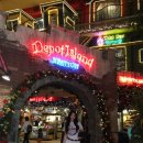 중부-현장-중부-904 | 오키나와 동남식물원 중부 가볼만한곳 입장료 할인예약 방문팁