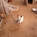 욱이네 농장 이미지