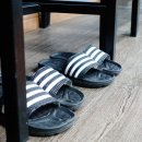 허당당구장 이미지