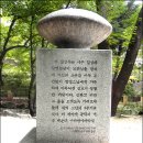 백석, 흰 당나귀