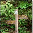 광원리 월둔교 이미지