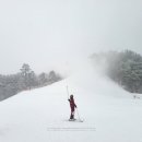 황산 캠핑장 | 양산 황산캠핑장 크리스마스 캠핑후기