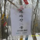 횡성 사자산 티스토리