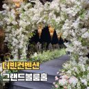 설구하우스 | 청주 웨딩홀 더빈컨벤션 그랜드볼룸 계약 후기 대관료 식대 견적 공유