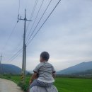 청도대나무숲하우스 이미지