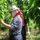 은식농장 이미지