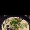 방범골뱅이 이미지