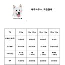 태우하우스 이미지