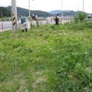 판문점주유소 이미지