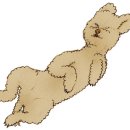 마마스팜 영농조합법인 이미지