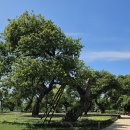 성밖숲정보센터 이미지