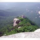 구파발역앞광장 이미지