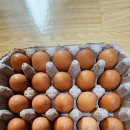 알로큰농장 이미지