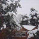 참살이 아트 이미지