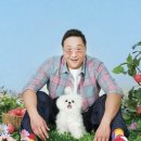 무지개다리 이미지