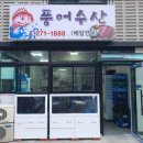 풍어수산횟집