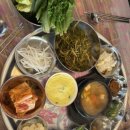 내포냉삼집