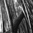 (주)마바산업 이미지