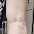 푸른맥외과의원 이미지