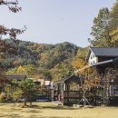 전 구역 타프존 &#39;양양 포레스트 캠핑장&#39; 사이트 추천