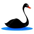 금만시장 | [행운에 속지 마라] 어쩔 수 없는 ‘불운’이 갑자기 닥쳤을 때 ♧ 나심 N. 탈레브