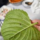 민락수변로 이미지