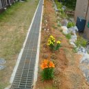 하은민박 이미지