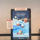 팔공티춘천 | 춘천 팔공티 애막골점 내돈내산 후기