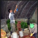 도장골농장2 이미지