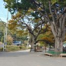 장동리 마을회관 이미지