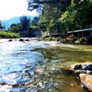 동화카라반 이미지