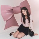 246 이미지