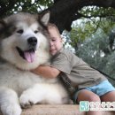 한양종합동물병원 이미지